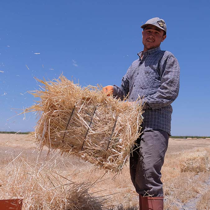 Çiftçi ürettiğinin karşılığını alamazsa üretim biter