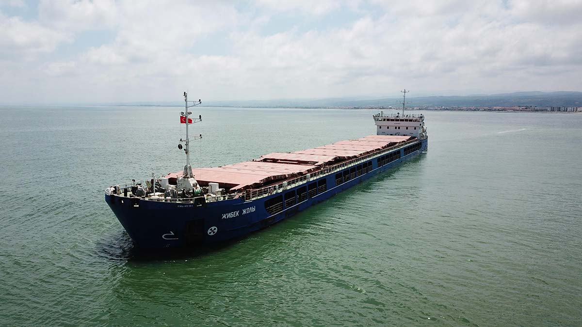 Tahıl yüklü Rus bandıralı gemi, Karasu'dan ayrıldı