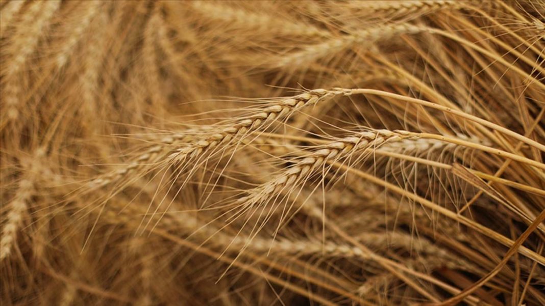 MSB'den tahıl sevkiyatı açıklaması
