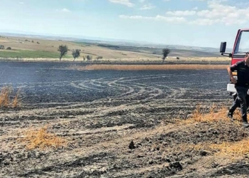 Tekirdağ'da 100 dönüm buğday tarlası yandı