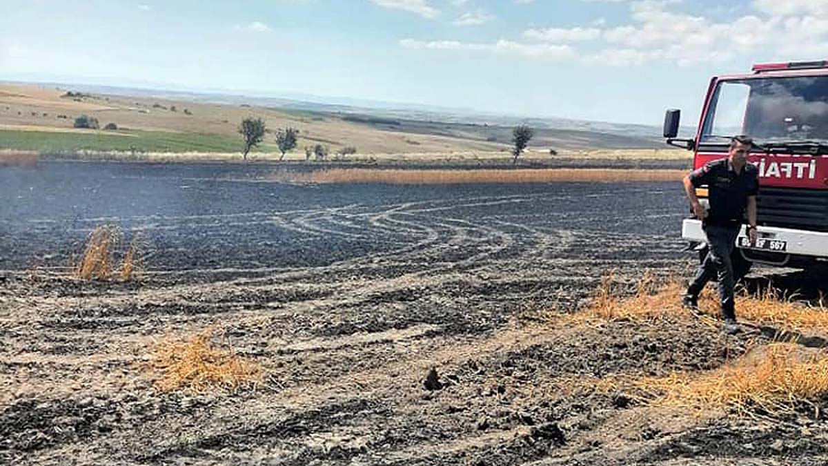 Tekirdağ'da 100 dönüm buğday tarlası yandı