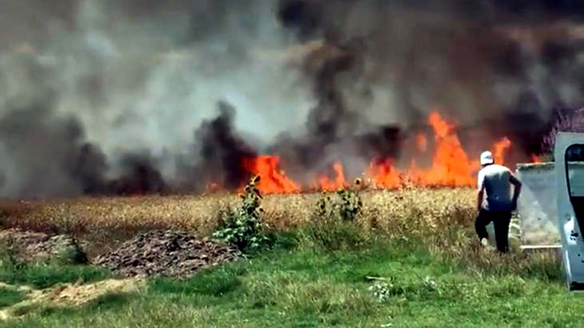 50 dönüm buğday ekili tarla yandı