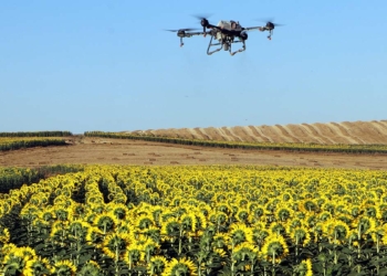 Çayır tırtılı ile dronlu mücadele