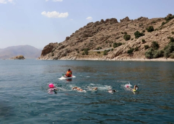 Van Büyükşehir Belediyesince düzenlenen 1'inci Van Denizi Yüzme Festivali etkinliklerinin 4'üncü gününde sporcular, Kuzu Adası'na 5 kilometre kulaç attı.