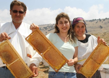 2 bin 300 rakımda bal hasadı başladı