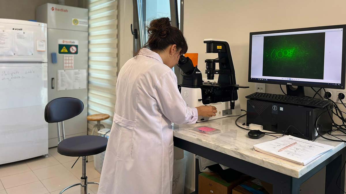 3 yıldır araştırılıyordu: İklim değişikliğiyle böcekler hastalık taşıyarak Türkiye'ye geliyor.