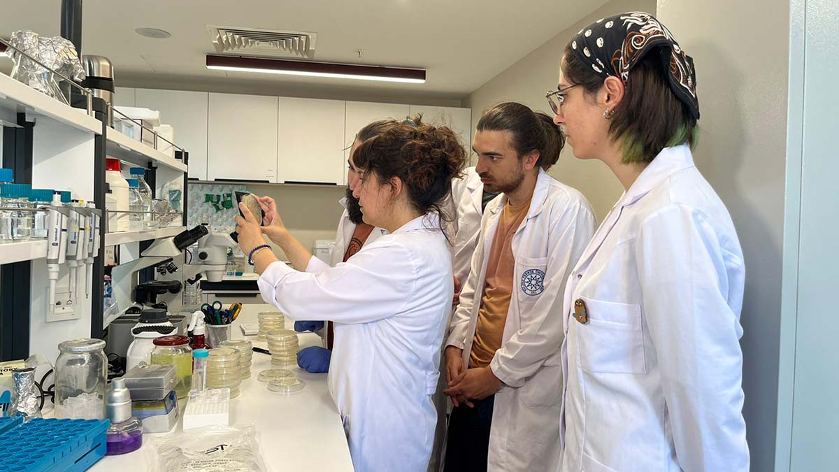 3 yıldır araştırılıyordu: İklim değişikliğiyle böcekler hastalık taşıyarak Türkiye'ye geliyor.