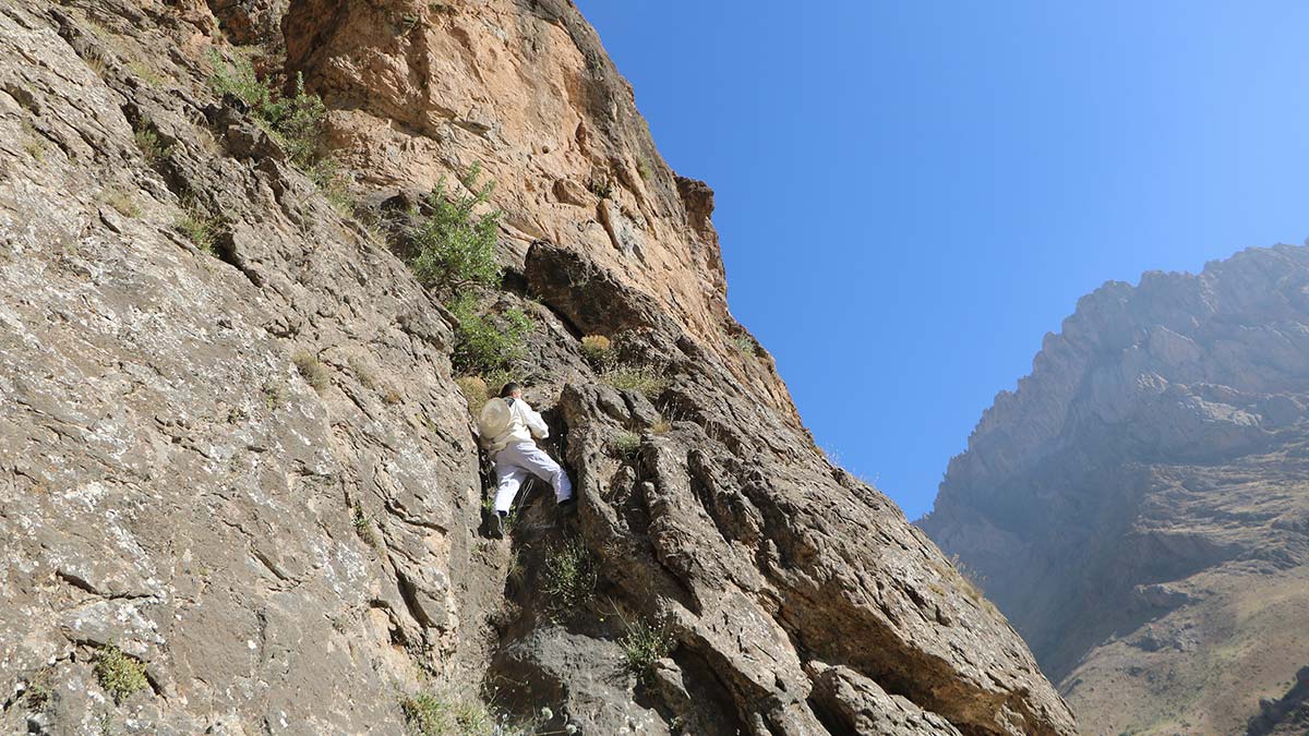 4 bin 135 rakımlı Cilo Dağı'na 'kaya balı' tırmanışı