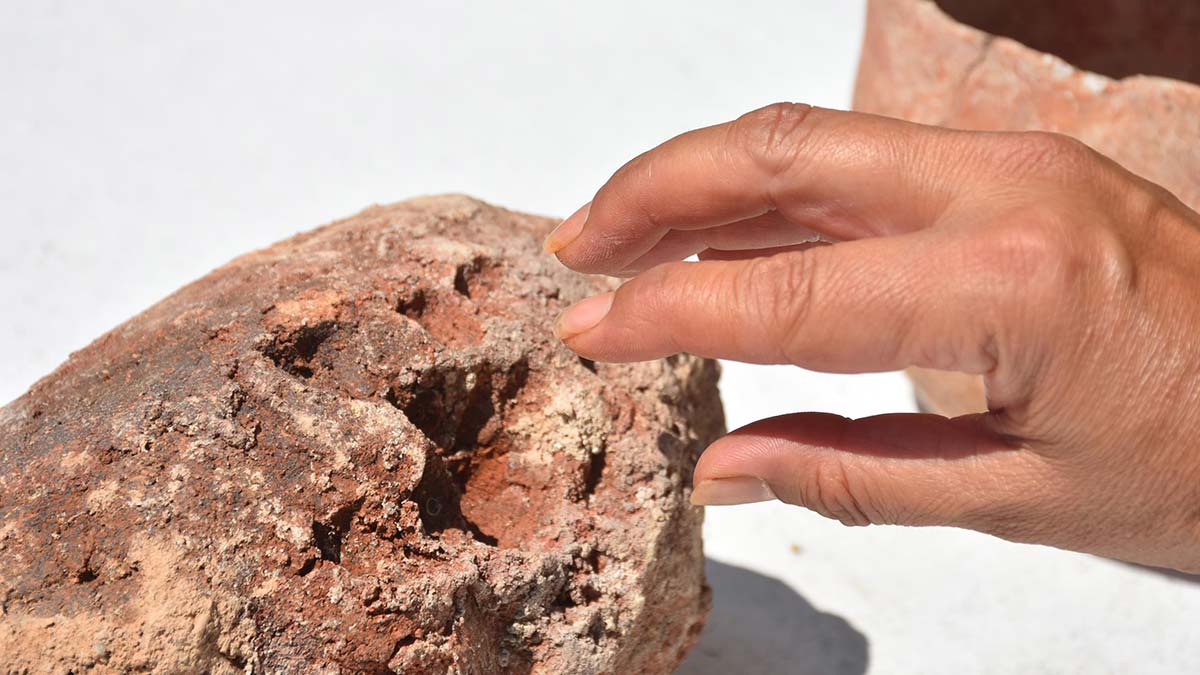 8 bin yıllık parmak izi