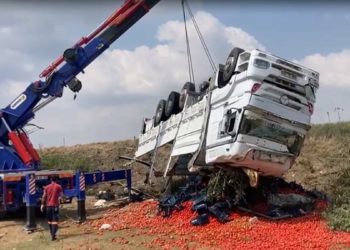 Adana'da domates yüklü kamyon şarampole devrildi