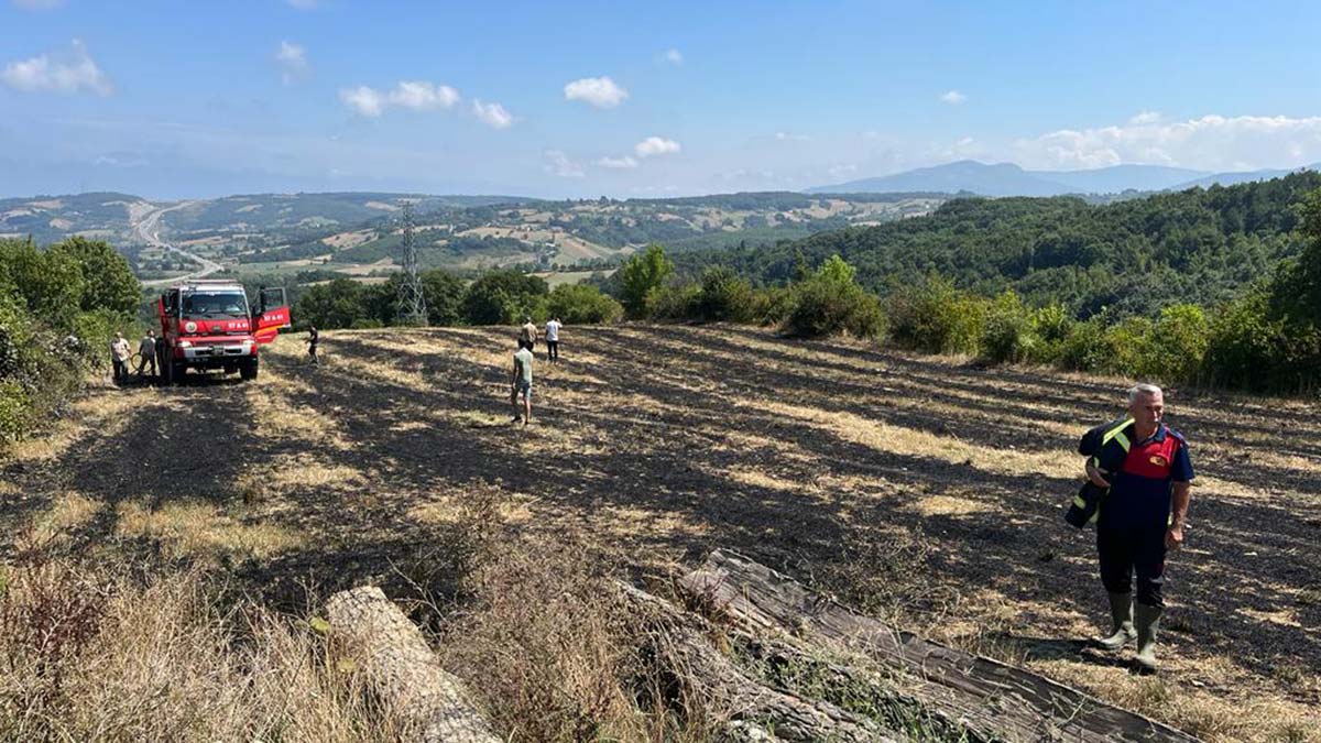 Akıma kapılan karga, anız yangınına neden oldu