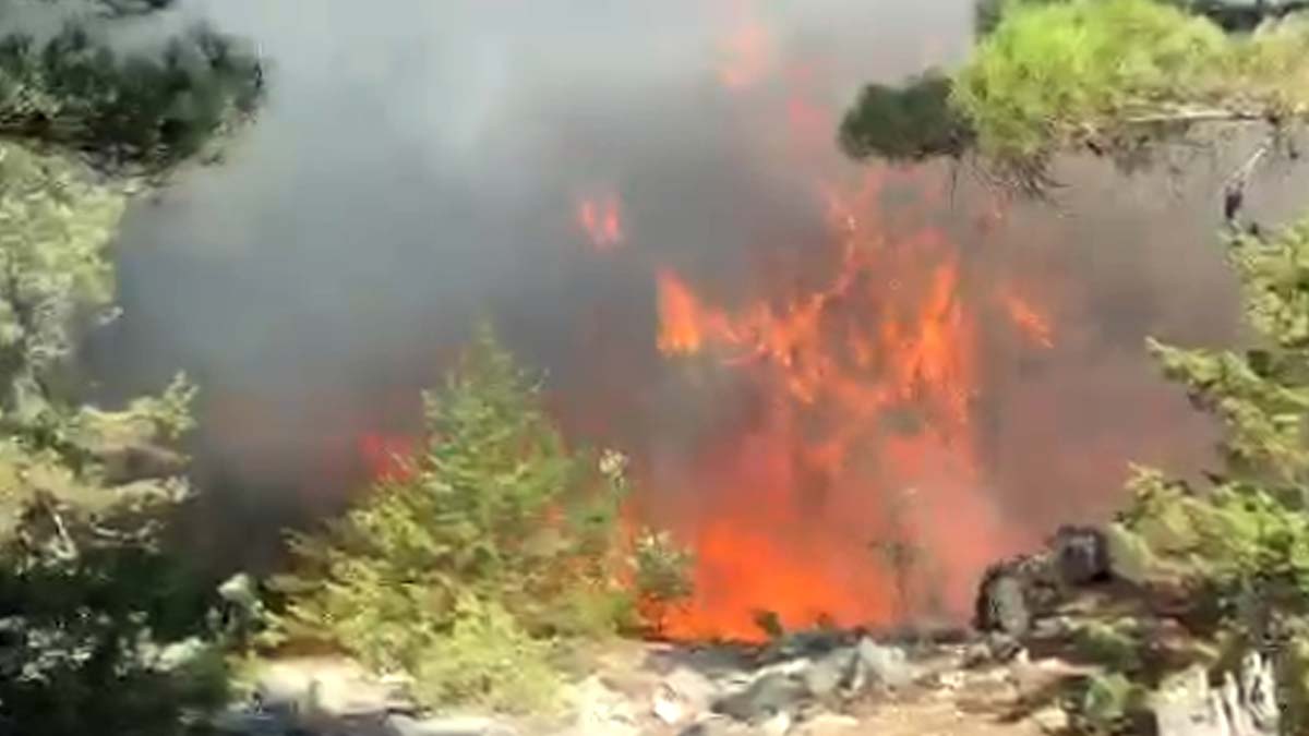 Akseki'de çıkan orman yangını 2 saatte söndürüldü