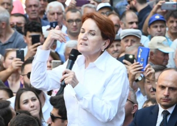 Akşener: Kuru ayçiçeğinin fiyatı 16.5 TL olmalı
