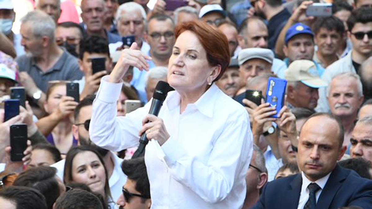 Akşener: Kuru ayçiçeğinin fiyatı 16.5 TL olmalı