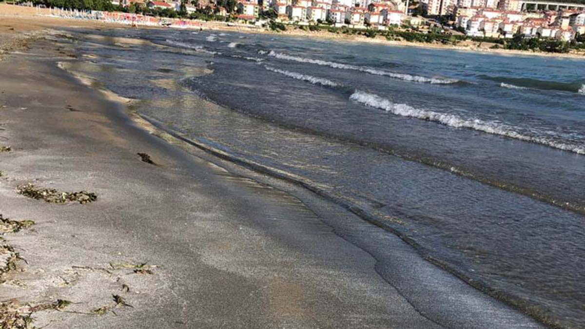 Altınkum Plajı 'kömürkum'a dönüştü