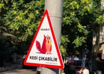Ankara'da sokak hayvanları için trafik levhası