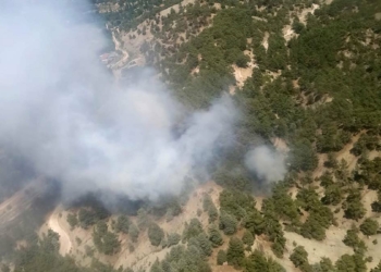 Antalya'nın Kaş ilçesinde orman yangını