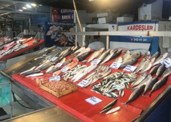 Av yasağının bitimine günler kala tüketiciye uyarı