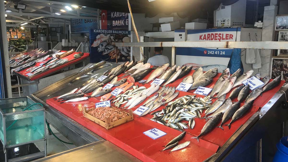 Av yasağının bitimine günler kala tüketiciye uyarı