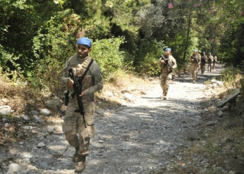 Aydın'da yasağa rağmen ormana girenlere ceza