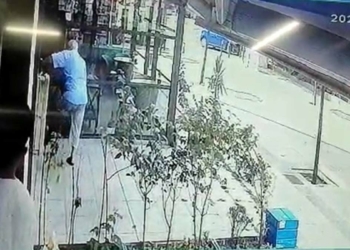 Bağcılar'da sokak kedisine terlikle şiddet