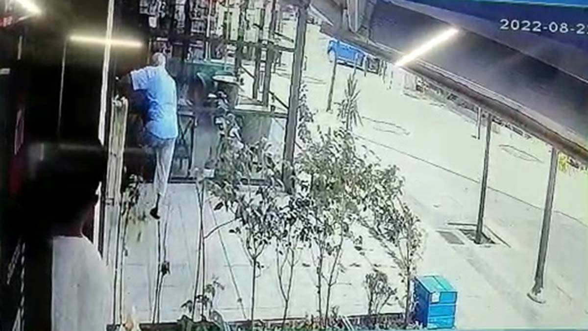 Bağcılar'da sokak kedisine terlikle şiddet 