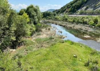 Bartın Irmağı'nda balık ölümlerine inceleme