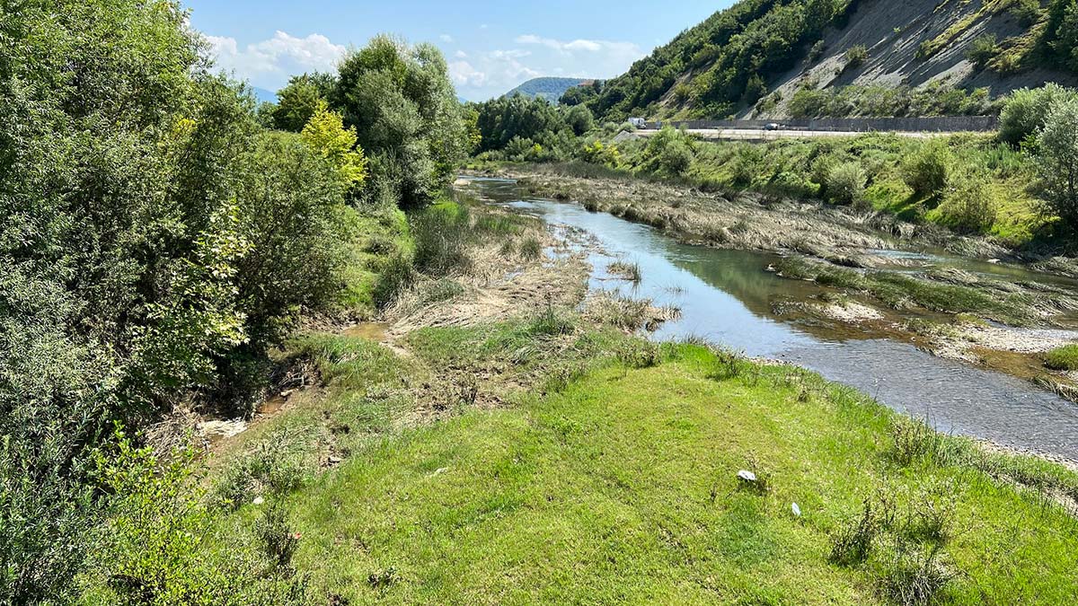 Bartın Irmağı'nda balık ölümlerine inceleme