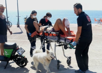 Bıçaklanan sahibinin başından ayrılmadı