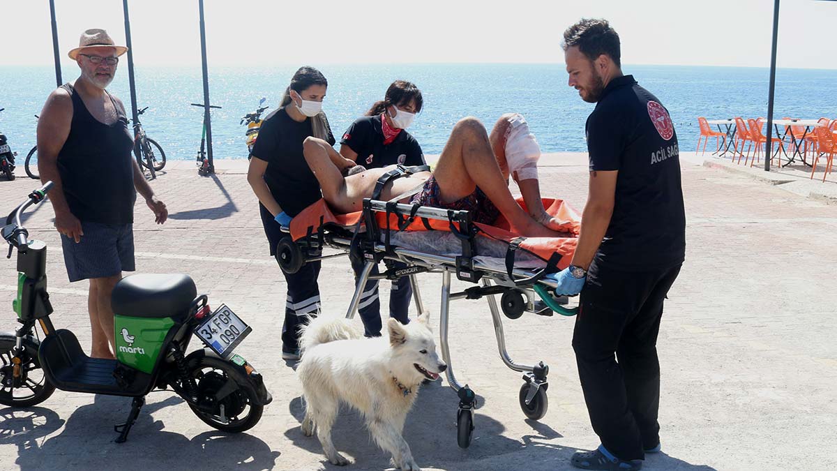 Bıçaklanan sahibinin başından ayrılmadı