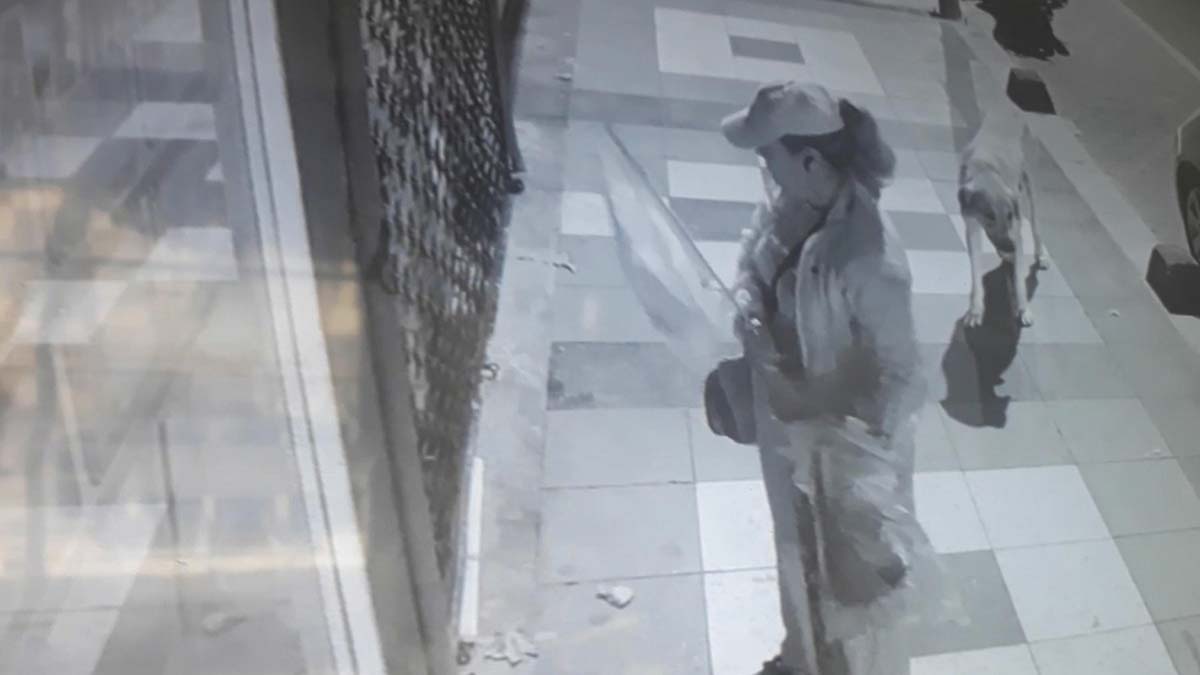 Bir gecede ilçedeki Türk bayraklarını değiştirdi