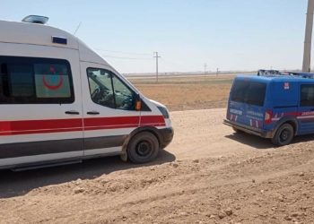 Boş arazide parçalanmış erkek cesedi bulundu