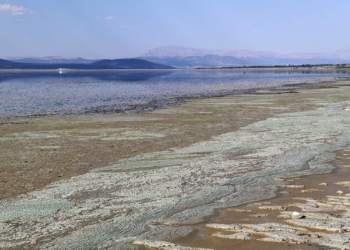 'Burdur Gölü yaralı, yardıma ihtiyacı var'