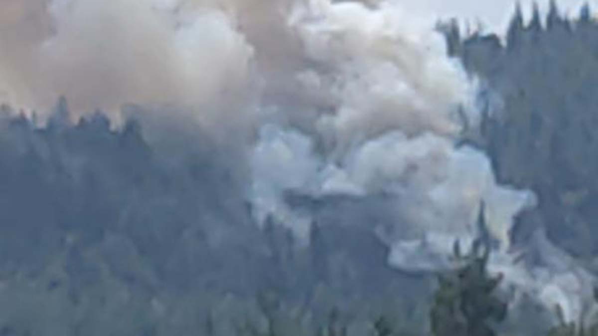 Bursa'da orman yangını çıktı