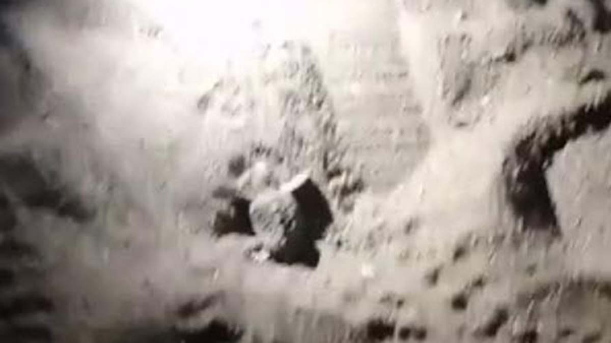 Caretta caretta yavrusunun yuvadan çıkma anı