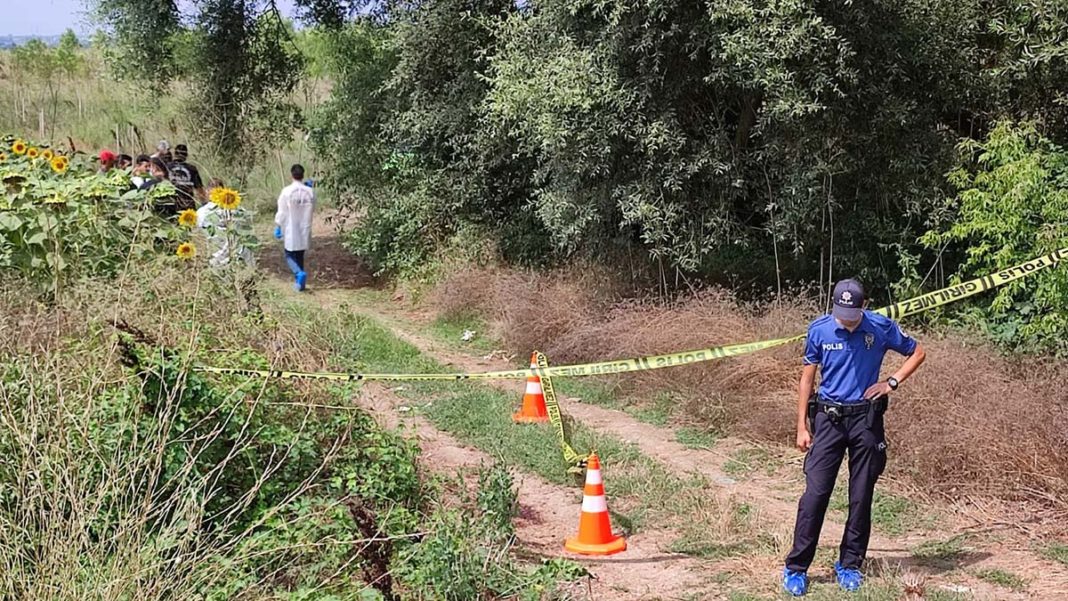 Çatalca'da ayçiçeği tarlasında ceset bulundu
