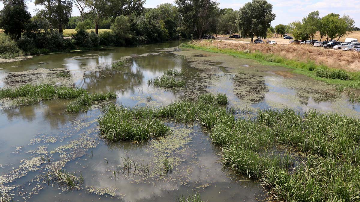 Debisi düşen Tunca Nehri çöplerle kaplandı