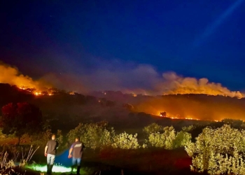 Diyarbakır'da 3 ayrı noktadaki orman yangını