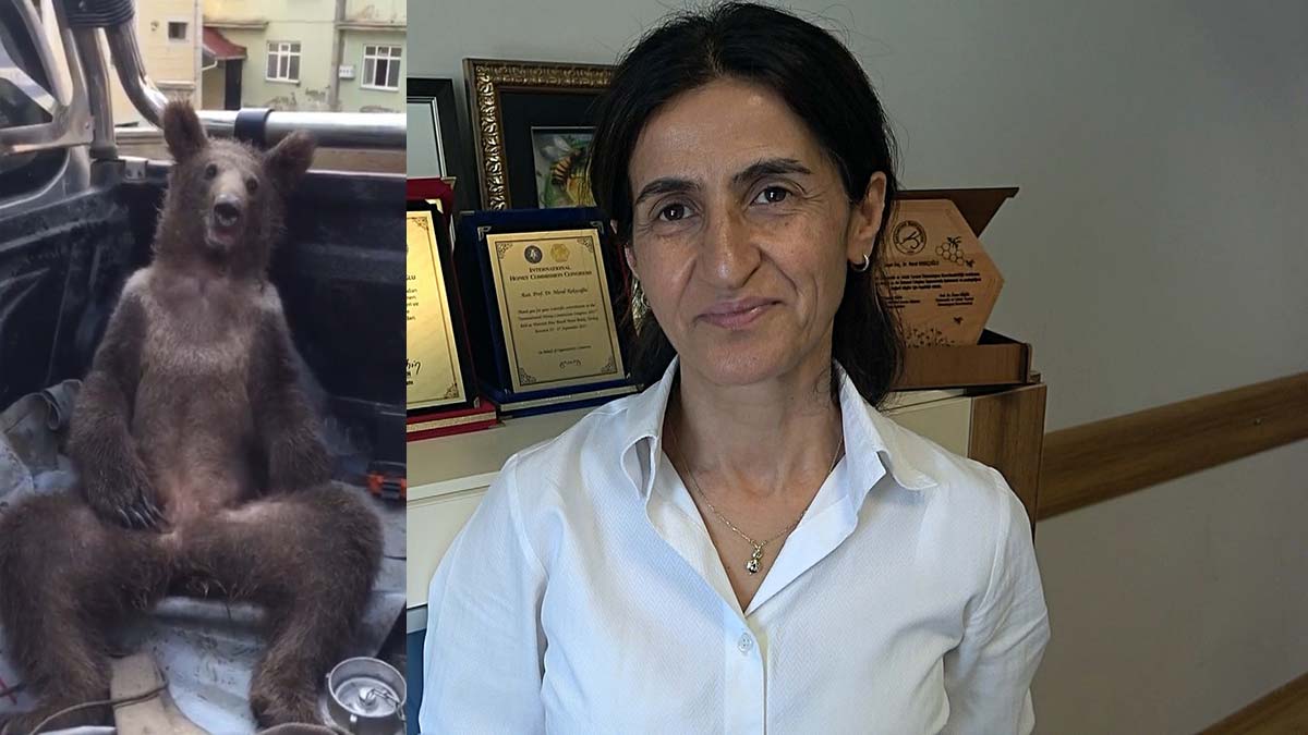 Doç. Dr. Kekeçoğlu'ndan 'acı bal' uyarısı