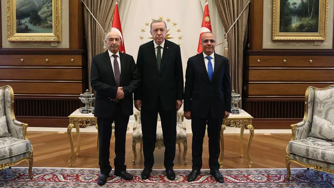Erdoğan, Libya Meclisi Başkanı'nı kabul etti 