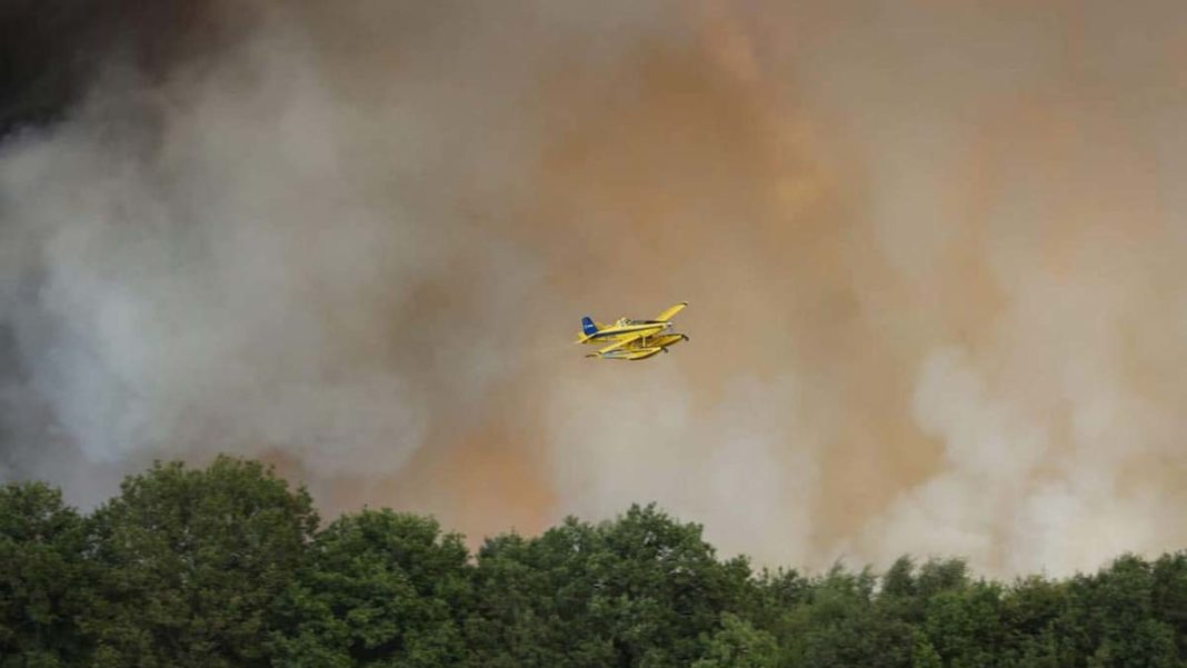 Fransa'nın güneyinde orman yangınıyla mücadele