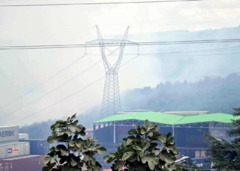 Gebze'de orman yangını 