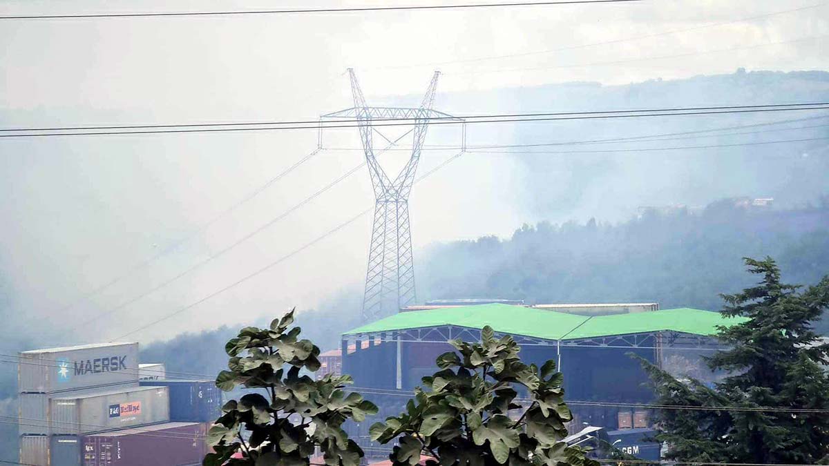 Gebze'de orman yangını 