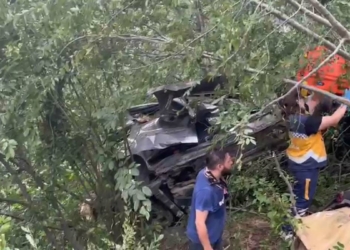 Hafif ticari araç fındık bahçesine devrildi: 2 ölü