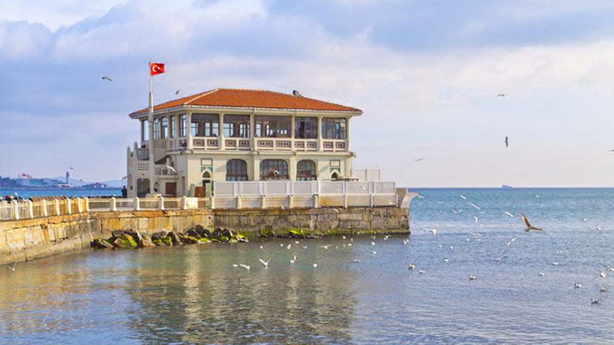 Hareketli günlerine yeniden hoş geldin