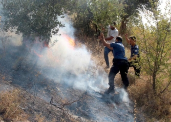 Hatay'da makilik yangını; polisler müdahale etti