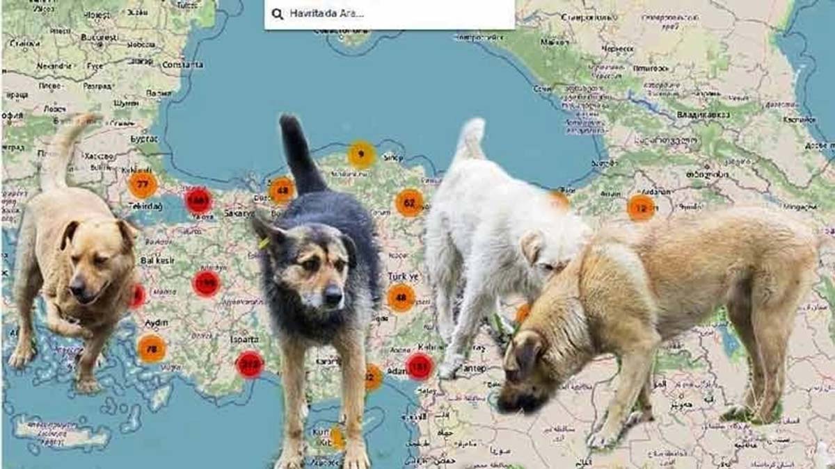 'Havrita'ya erişim engeli getirildi