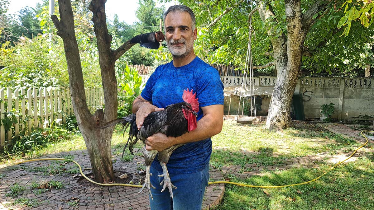 Horozunu sosyal medyadan sahiplendirdi