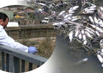 İSKİ'den Alibeyköy deresi açıklaması