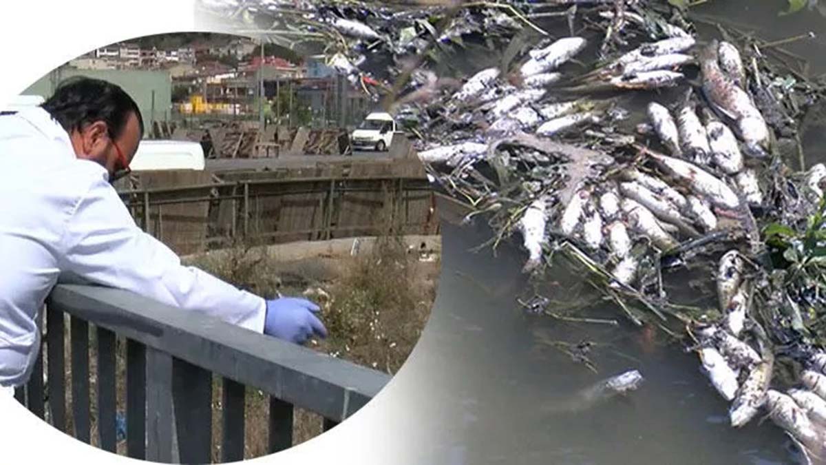 İSKİ'den Alibeyköy deresi açıklaması